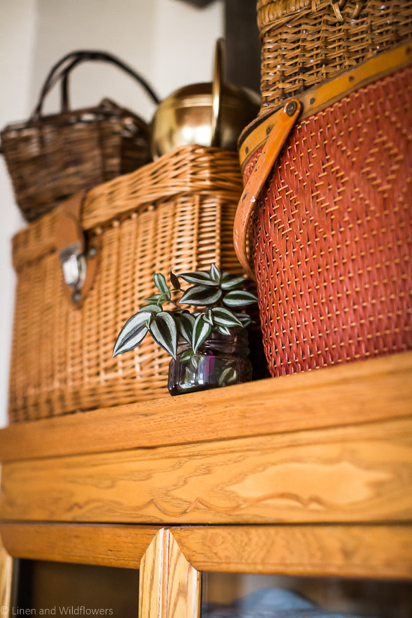 large baskets on top of a cupboard & a wondering Jew propagating in a small mason jar.