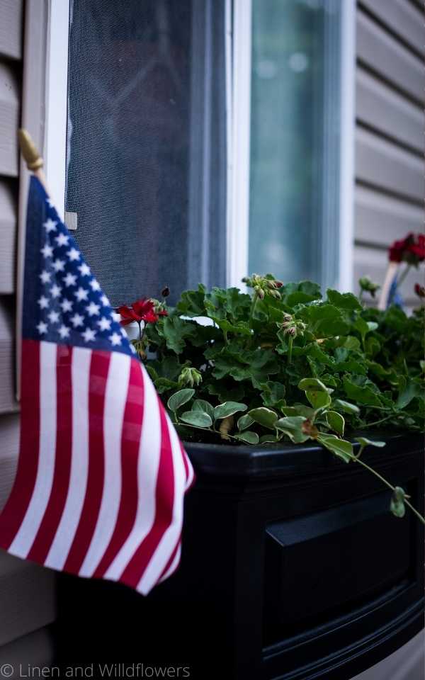 5 Easy Tips for Adding Beautiful Window Boxes, one of them is a black window box mounted under a window against tan siding. In the window box is ivy, red geraniums & American flag,.
