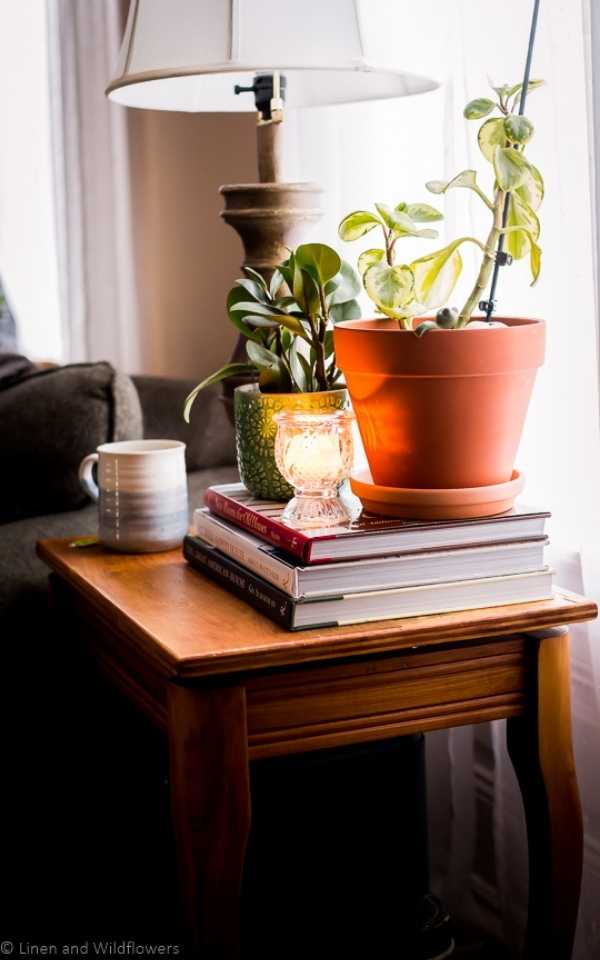 10 Stylish Ways for Using Books for Decorating-A table with a coffee cup, lit candle & decor book, with plants & candle stting on top for visual interest.