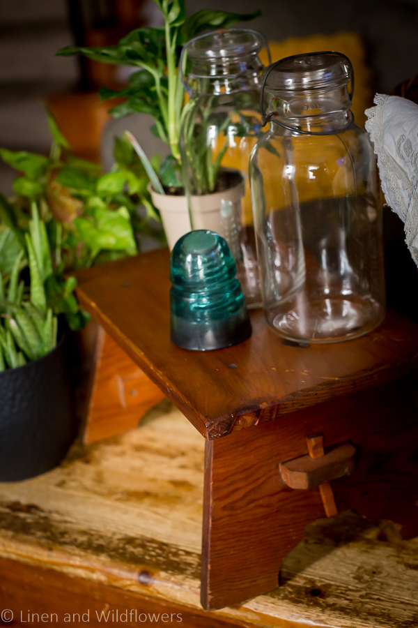 Large antique Mason Jars, houseplants, step stool &  a railroad insulator from my Birthday Antique Haul.