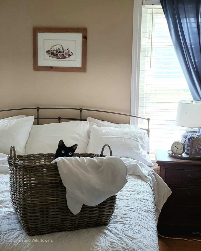 How often should you change your bedsheets- A wicker basket with dirty white bed linens & a black cat who found a cozy spot on a freshly made bed.