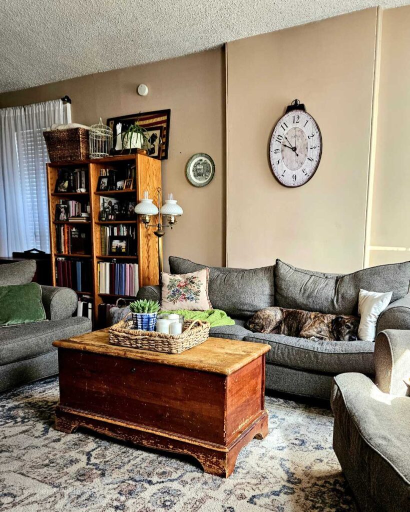A cozy living room with a staffy sleeping on the couch.