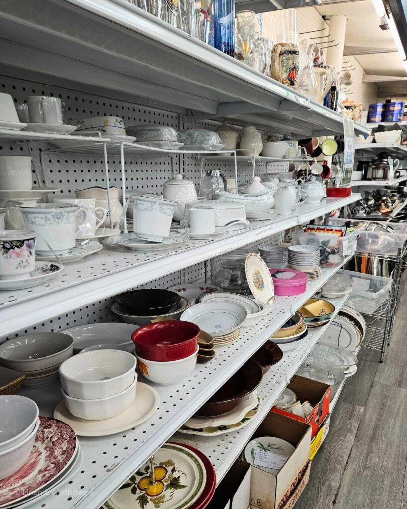 Shelves in a Goodwill Thrift Store filled with a variety of Dishes, gravy boats, tea cups & platters.