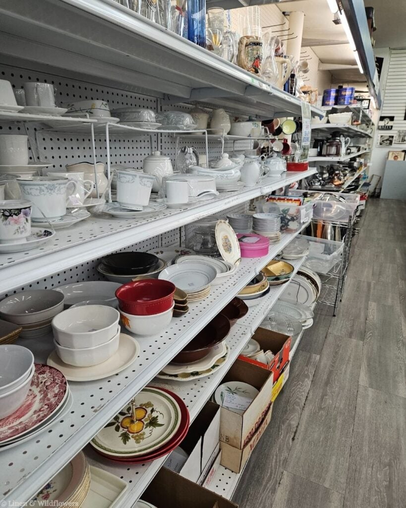 Shelves of antique china teacups, plates, and bowls at a thrift store, perfect for building a vintage dish collection.