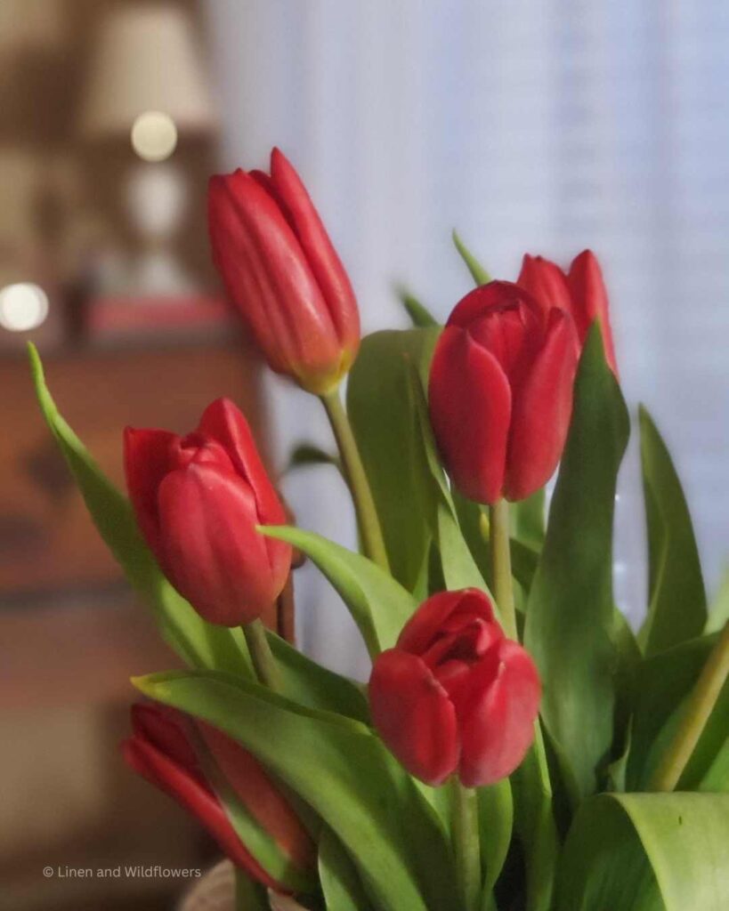 A bouquet of tulips on a table in a dining room. 