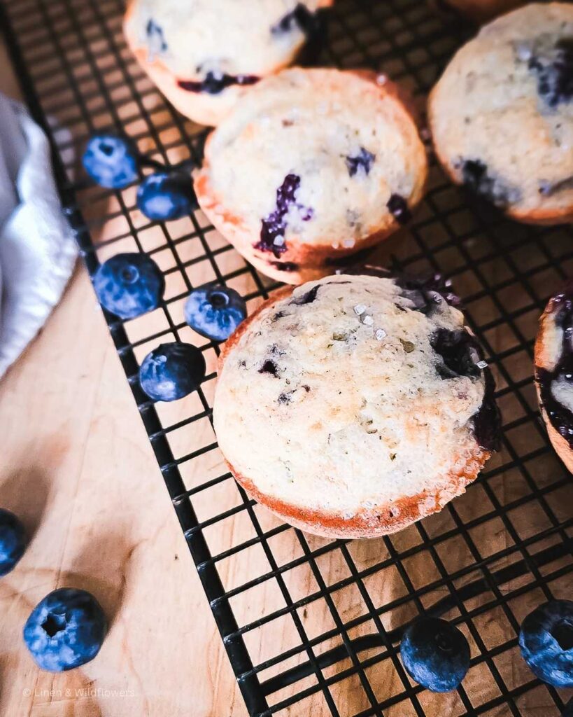 Bursting with the goodness of fresh blueberries, these muffins cooling on a wire rack ready to enjoy. Fresh blueberries scattered around the rack.