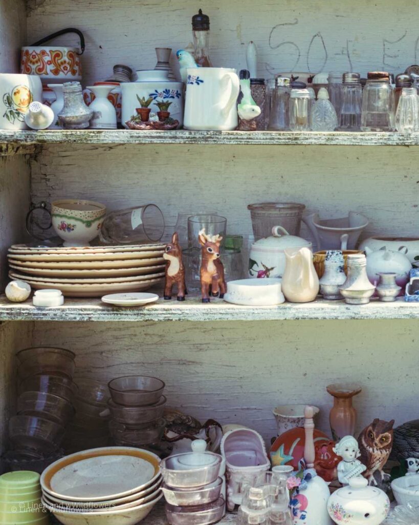 Shelves at a thrift store with a variety of miscellaneous treasures.