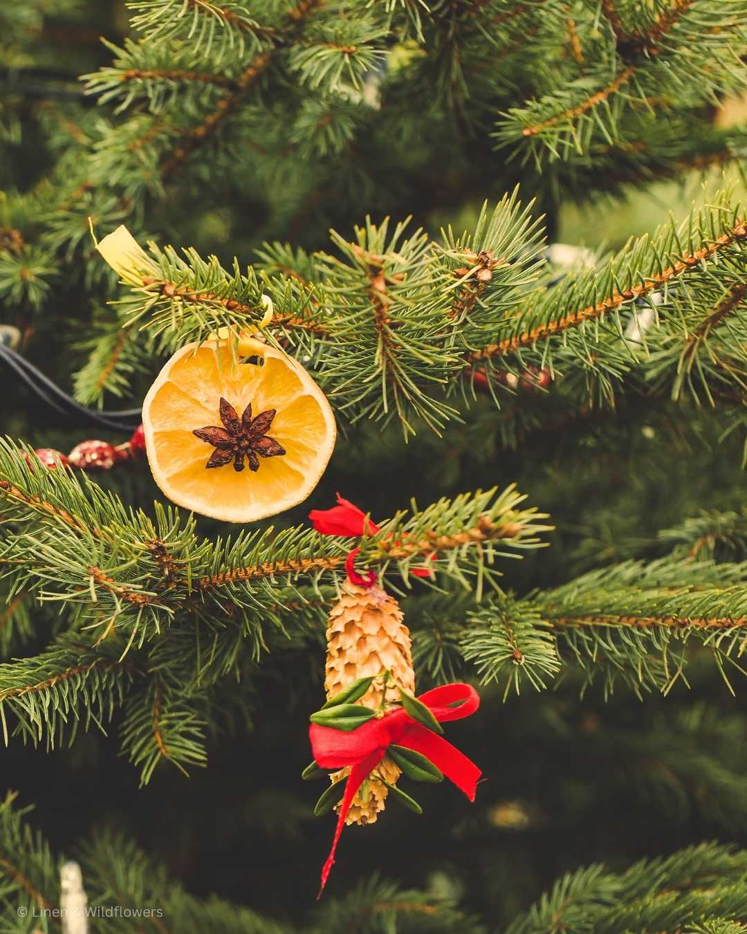 How to Make Dried fruit for Christmas ornaments Linen and Wildflowers
