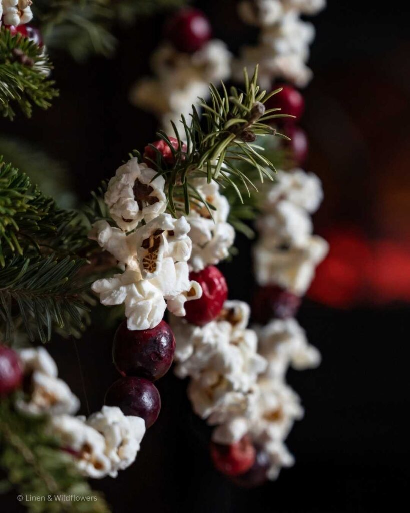 A Christmas tree decorated with a a handmade cranberry & popcorn garland to make the tree look more festive.
