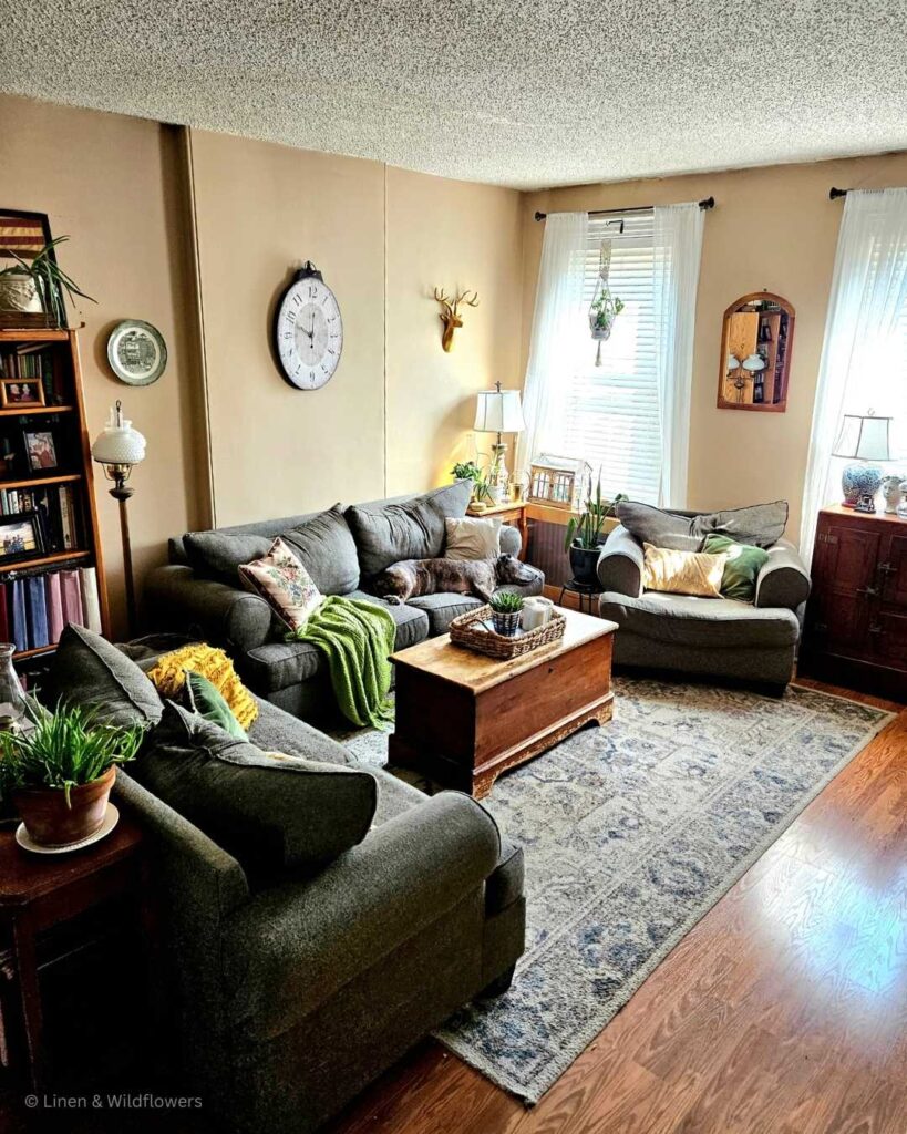 A cozy living room filled with collected finds. On the couch a bridle color staffy sleeping away.