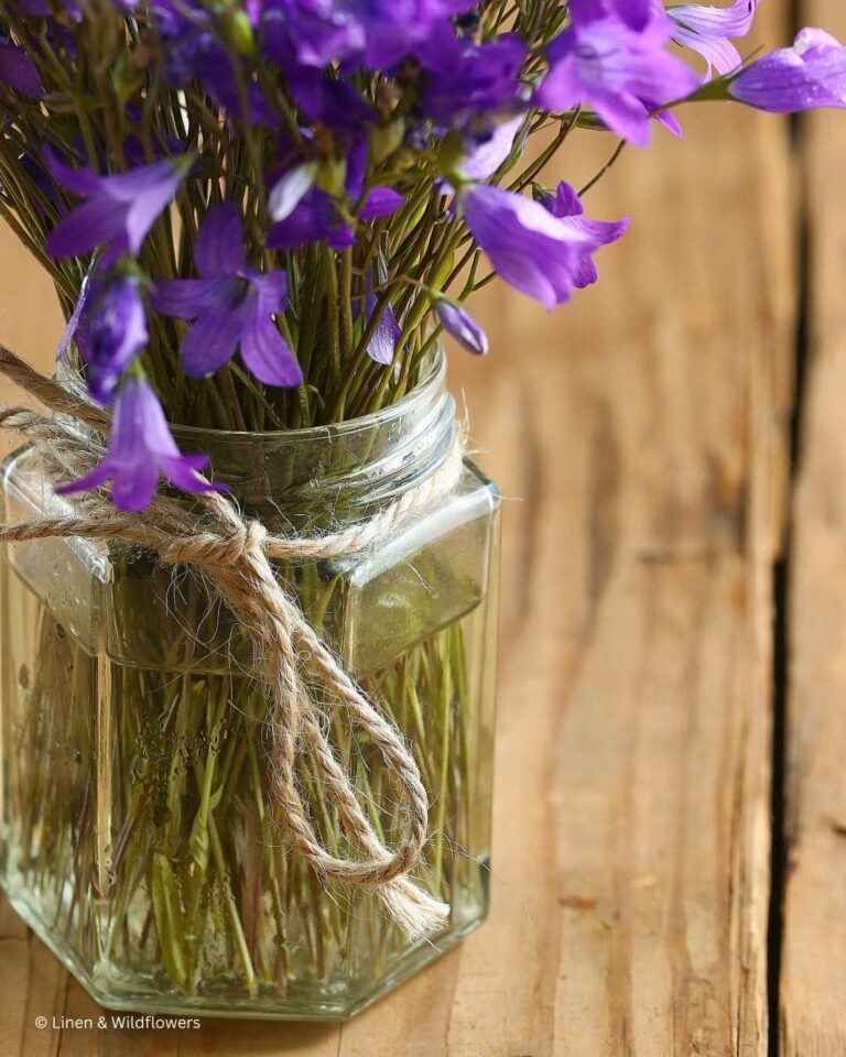 My Personal Journey Through LifeAltering Changes · Linen & Wildflowers