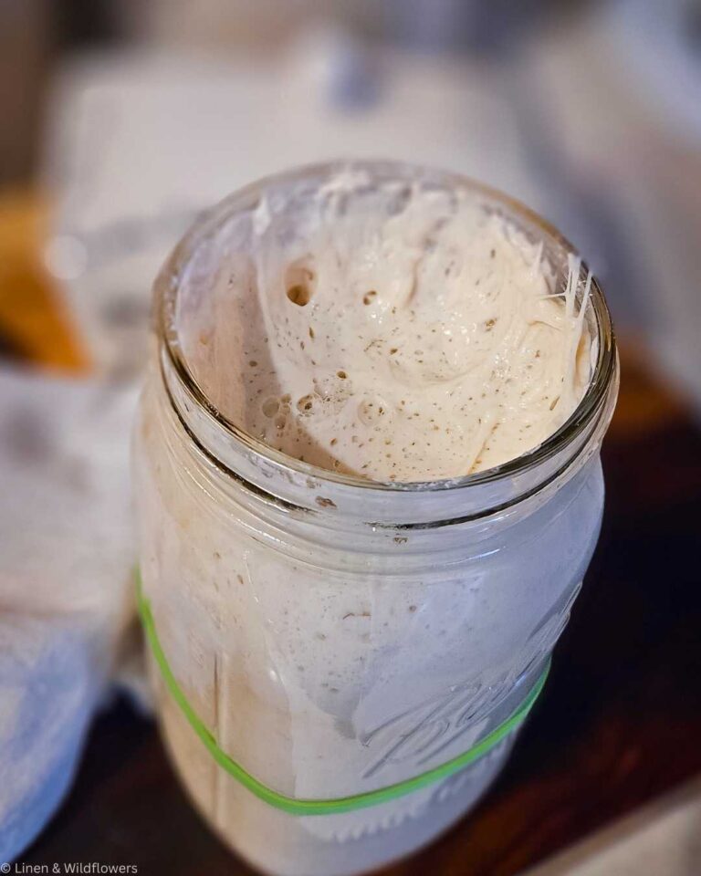 Essential Guide to Cleaning Your Sourdough Starter Top Cloth