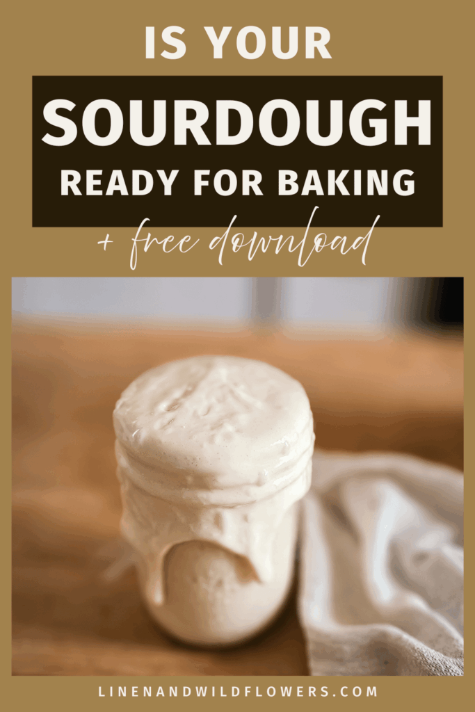 Mason jar with overflowing sourdough starter on a wooden surface beside a cloth. Text above reads "Is your sourdough ready for baking + free download.