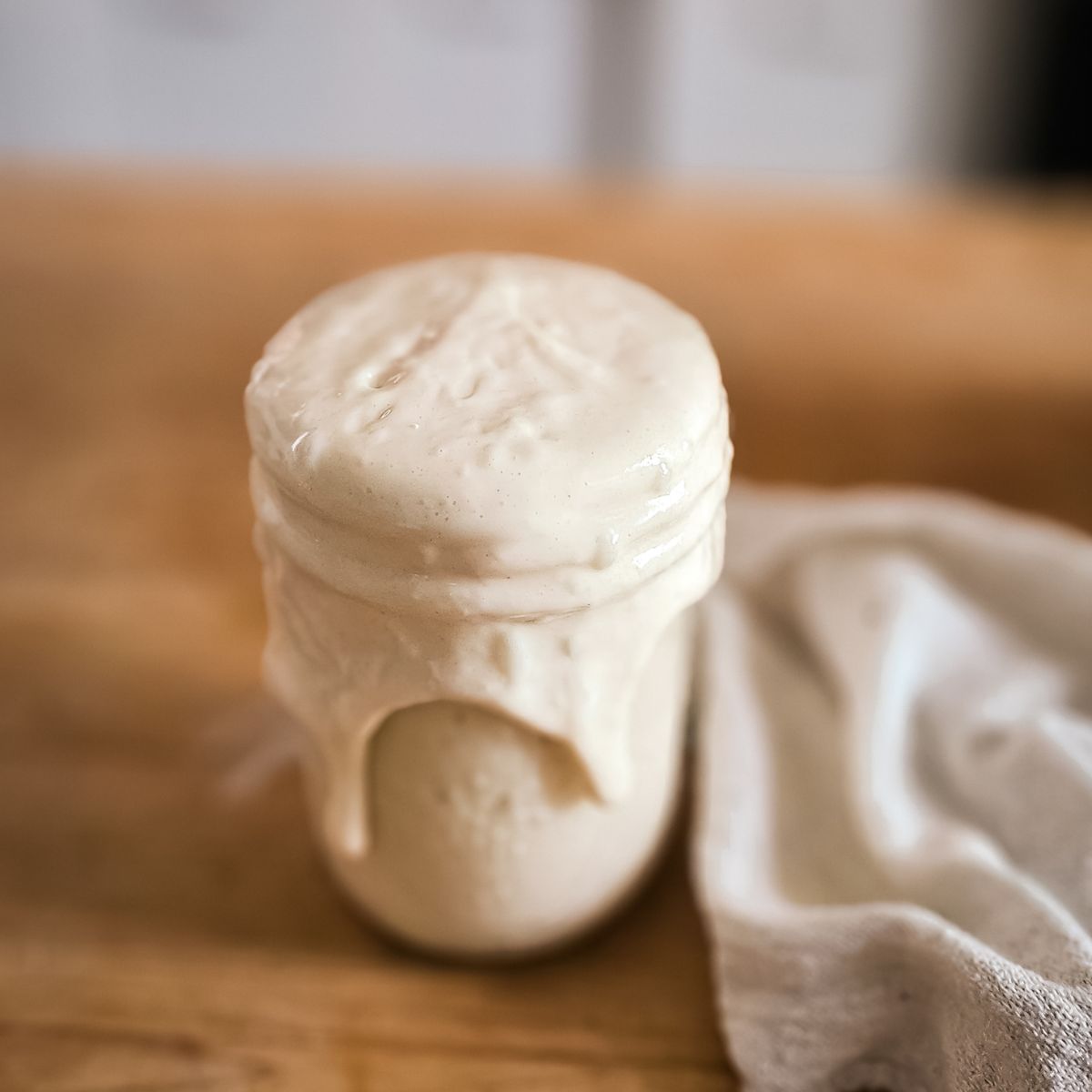 Is Your Sourdough Starter Ready for Baking-6 Easy Signs