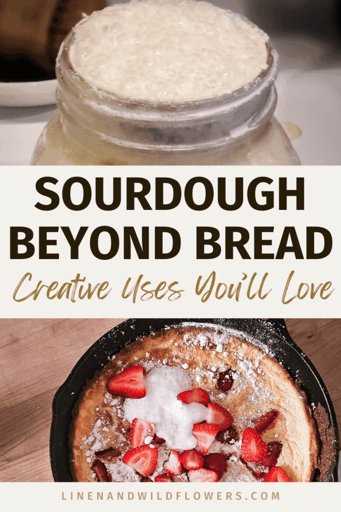 Top image of bubbly sourdough in a jar. Below, strawberry-topped dessert dusted with powdered sugar. Text reads "Sourdough Beyond Bread: Creative Uses You'll Love." Tone: inviting.