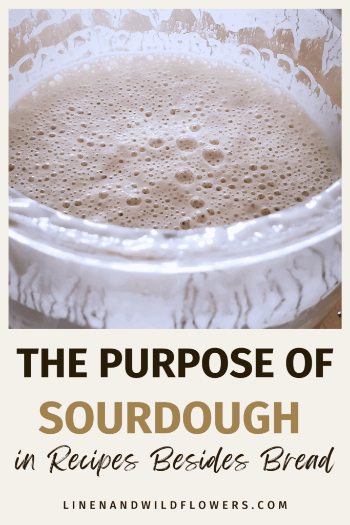 Bubbly sourdough starter in a bowl with text overlay: "The Purpose of Sourdough in Recipes Besides Bread," conveying versatility and creativity in cooking.