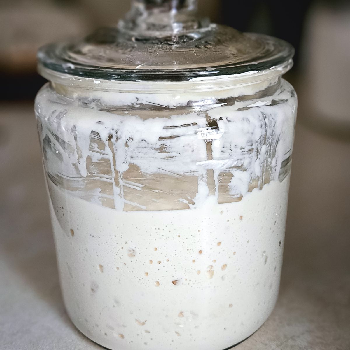 Glass jar filled with bubbly sourdough starter, lid on top. The creamy mixture has streaks along the sides, suggesting fermentation activity.