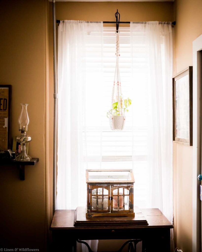 Sunlit window with sheer curtains features a small plant in a hanging pot, creating a serene atmosphere. Below, a rustic table holds an ornate glass display box.