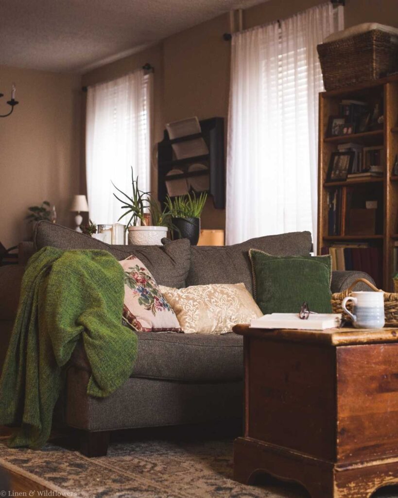 Cozy living room with a gray sofa, green throw blanket, and floral cushions. Soft light from a window highlights plants and a rustic wooden coffee table.