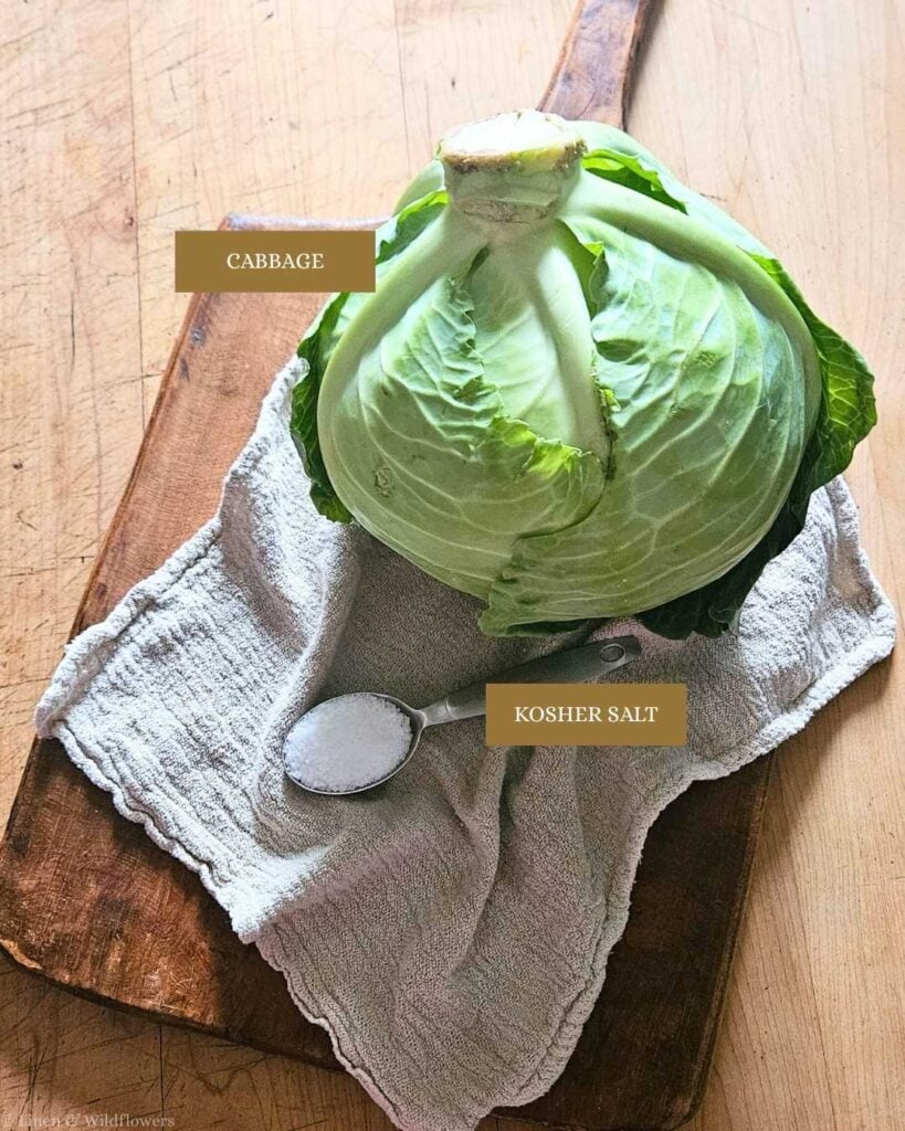 A fresh green cabbage on a wooden cutting board, covered partially by a white cloth. Nearby, a spoon filled with kosher salt. Labels read "Cabbage" and "Kosher Salt".