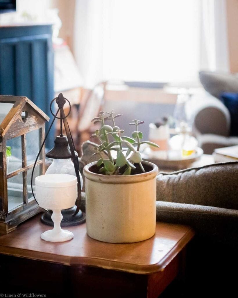 A cozy living room vignette featuring a potted succulent on a wooden table, a vintage lantern, and a small decorative container, with soft natural light.