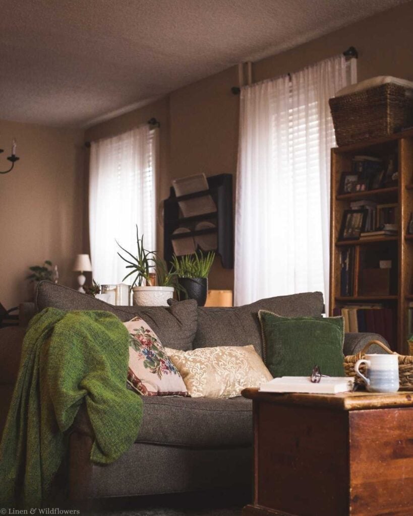 Cozy living room with a gray couch adorned with green and floral pillows, a knit throw, and houseplants. Sunlight filters through sheer curtains.