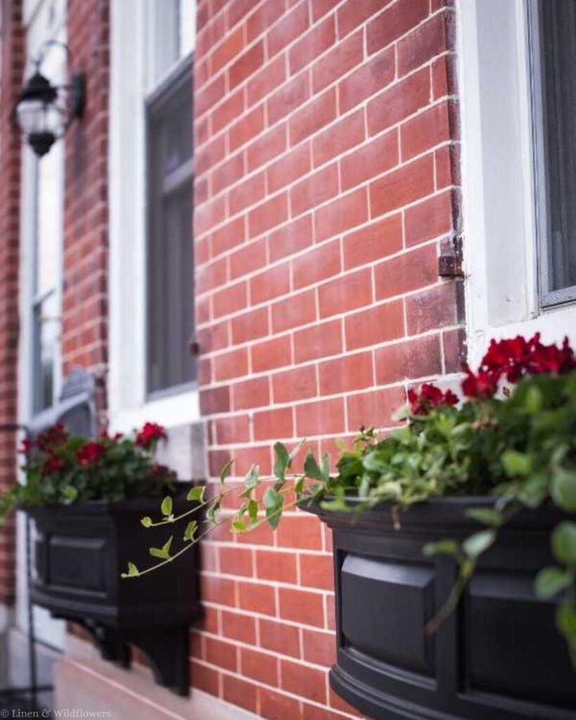 A red brick wall features large black flower boxes under windows, filled with vibrant red flowers and green foliage, conveying a charming urban feel.