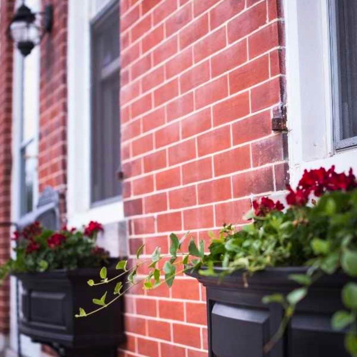 Red brick wall with rectangular windows. Black planters hold vibrant red flowers and trailing greenery, creating a welcoming and vibrant atmosphere.