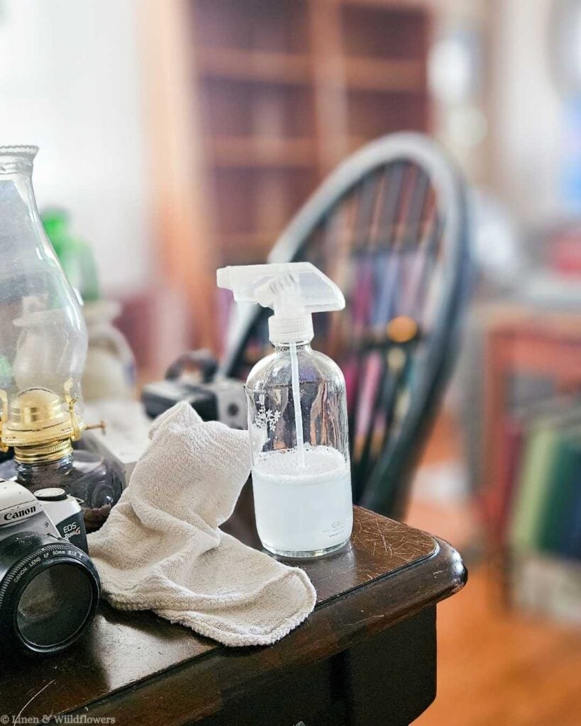 Glass spray bottle with cleaning solution and linen cloth on a dark wood surface next to a Canon camera, showing the shelf-cleaning step before bookcase styling.