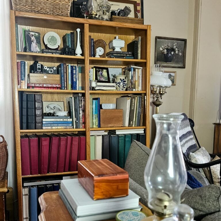 Cozy living room bookcase styled with dark leather journals, red vintage books, antique cameras, oil lamp chimney, and decorative collectibles using only items already owned.