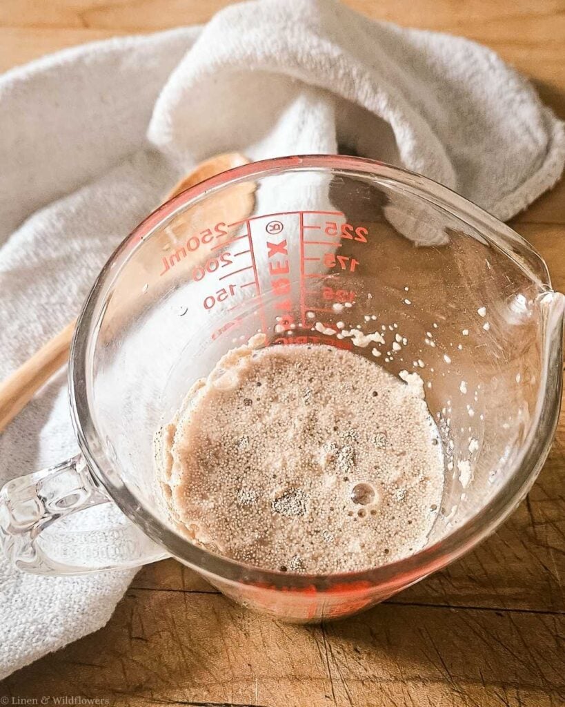 Expired active dry yeast beginning to proof and bubble in a glass Pyrex measuring cup, demonstrating how to test whether old yeast is still usable.