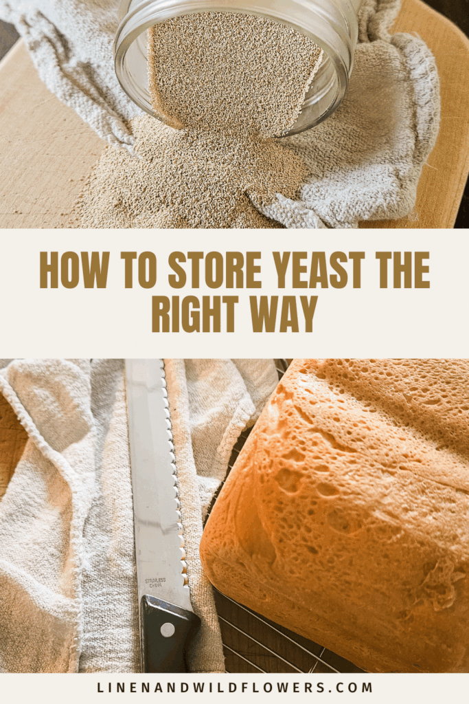 Learn the best ways to store yeast in the pantry, refrigerator, or freezer so it stays fresh longer and works better for homemade baking.