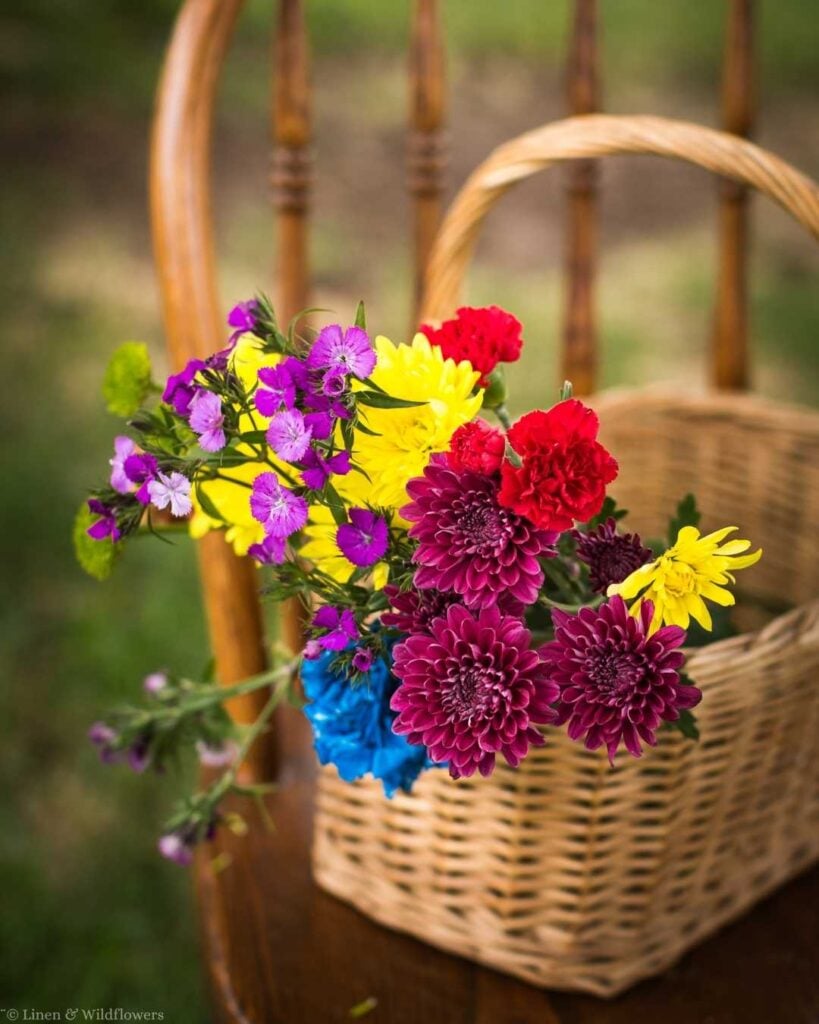 Wicker gathering basket filled with colorful fresh-cut flowers hanging on a vintage wooden chair.