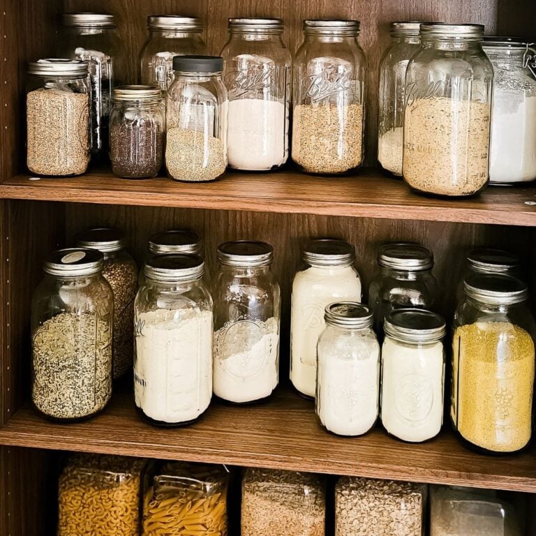 Plastic free pantry shelves filled with glass jars of rice, flour, grains, and pasta in neat rows.