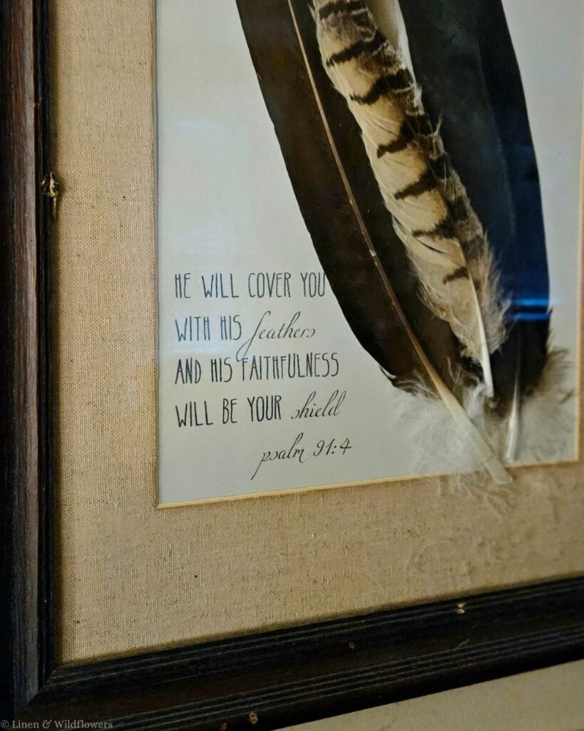 Close-up of the Psalm 91:4 verse printed beside real feathers in a framed DIY feather art piece with a linen mat.